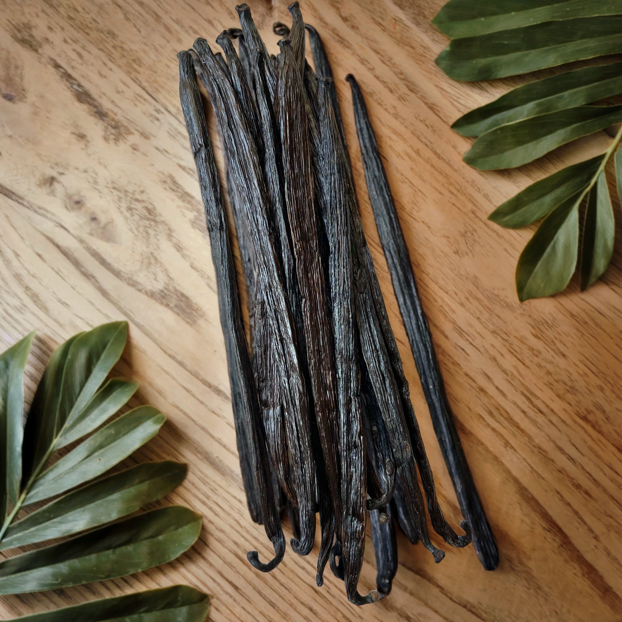 Vanille de Papouasie Nouvelle-Guinée - Qualité Gourmet - Longueur 18cm